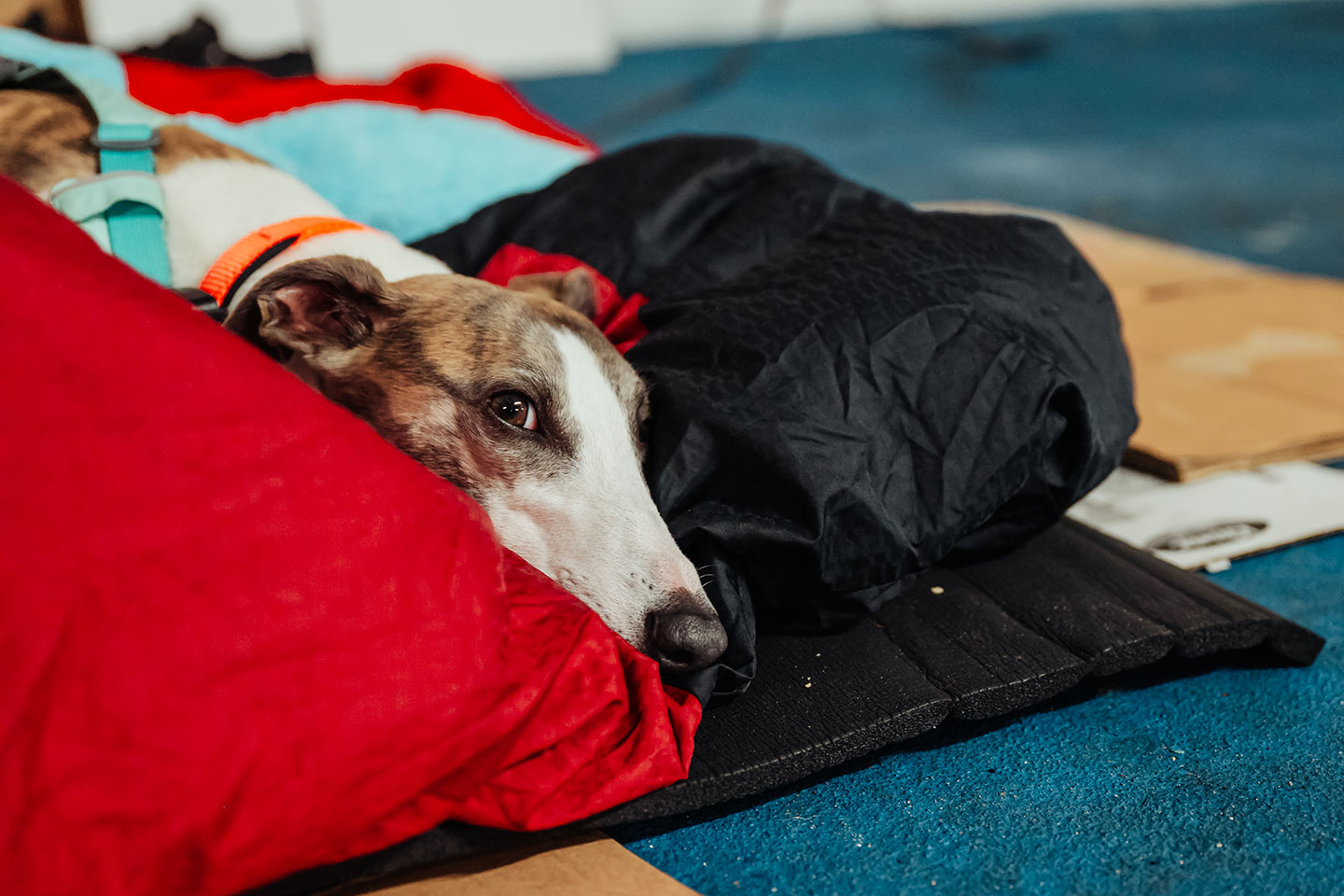 Sleep Out 2025